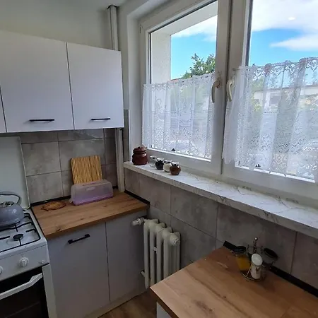 Stogi